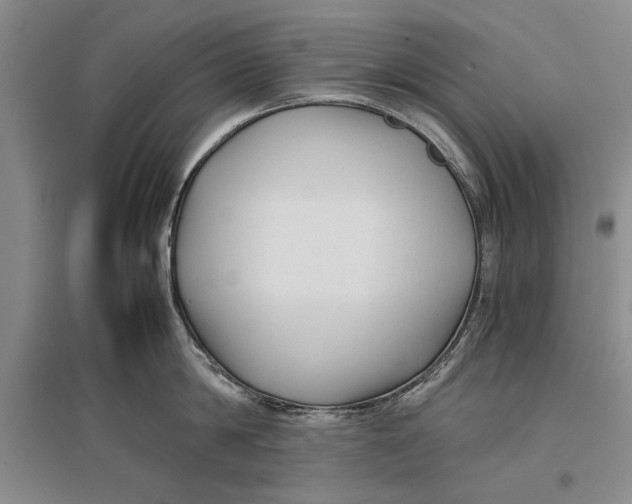 X0000096980814200802291144