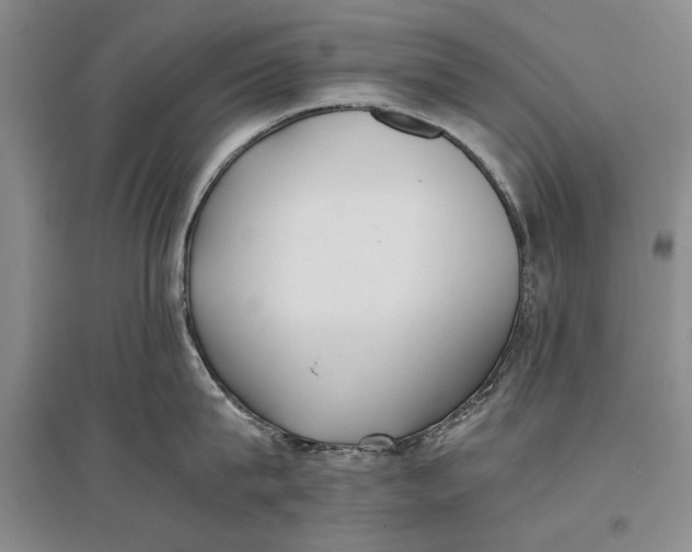 X0000096980815200802291144