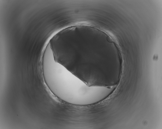 X0000096980816200802291144