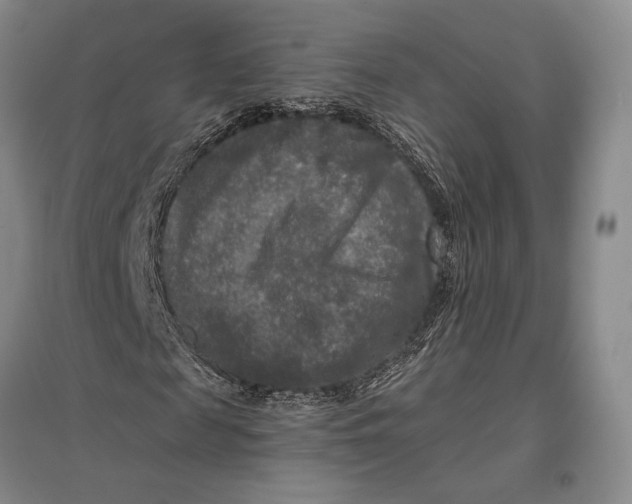 X0000096980817200802291143