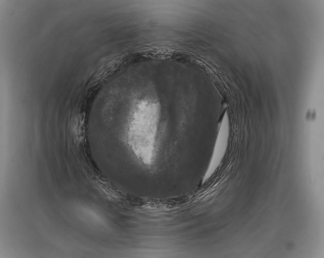 X0000096980818200802291143