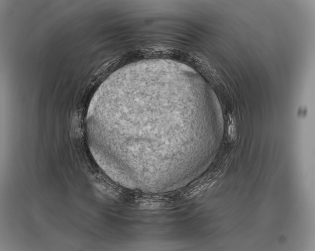 X0000096980819200802291143