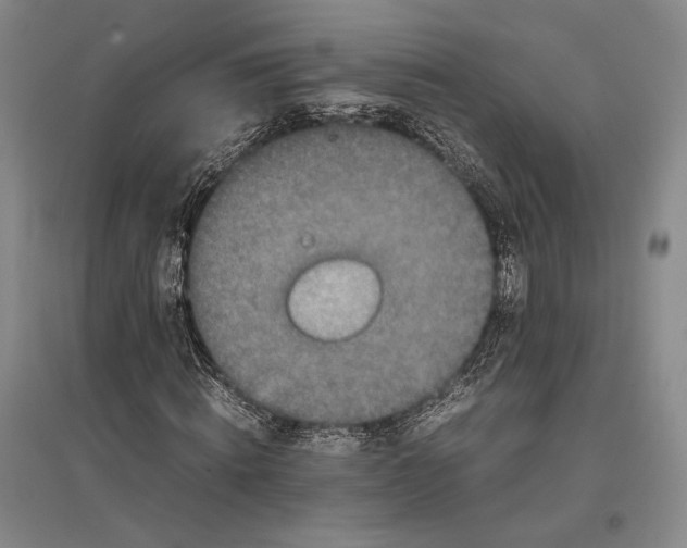 X0000096980820200802291143