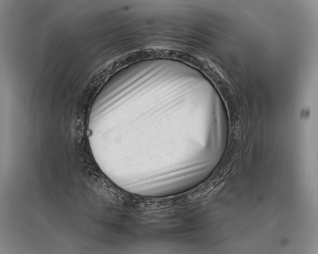 X0000096980821200802291144