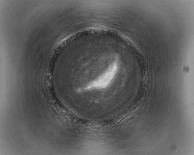 X0000096980822200802291144