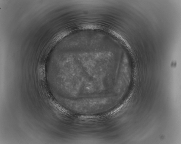 X0000096980825200802291144