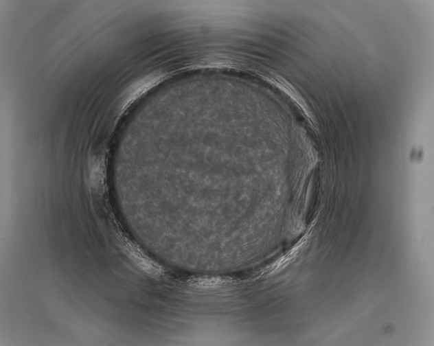 X0000096980826200802291144