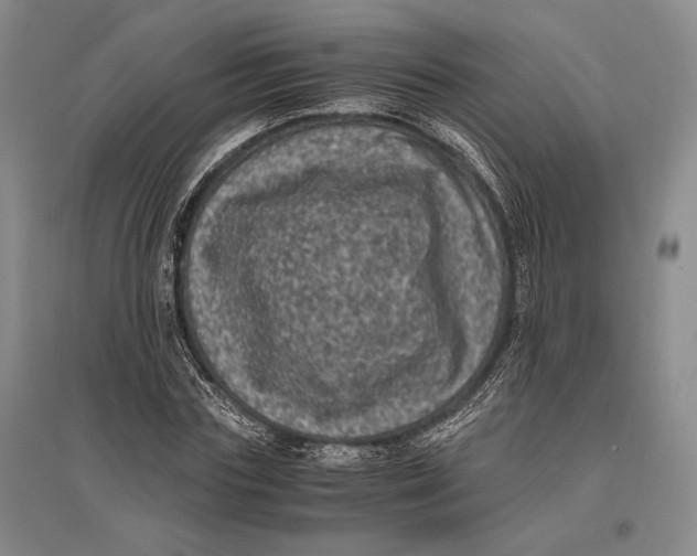 X0000096980827200802291144