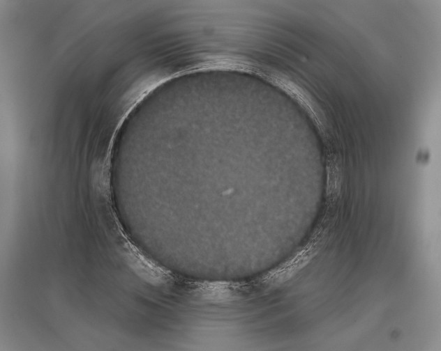 X0000096980828200802291144