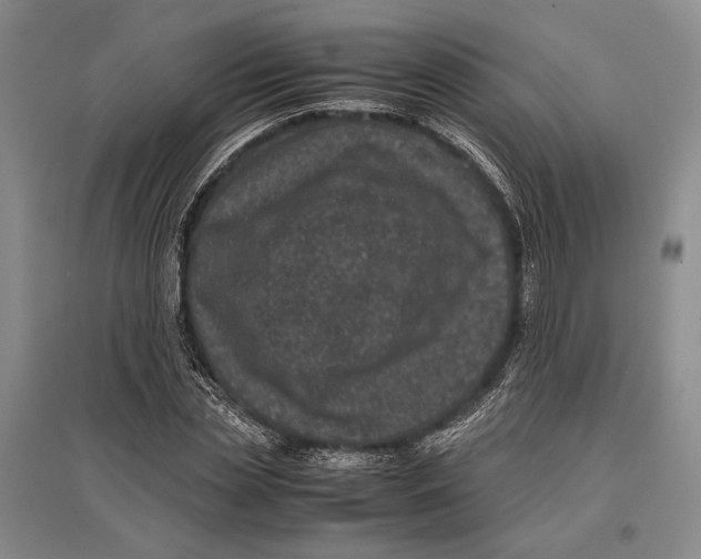 X0000096980829200802291144