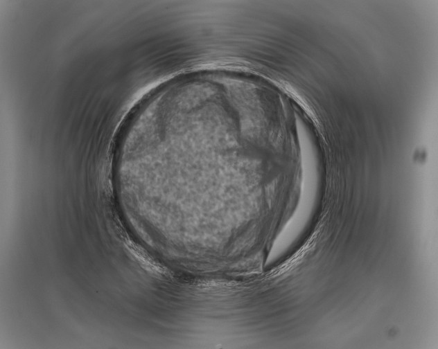 X0000096980830200802291144