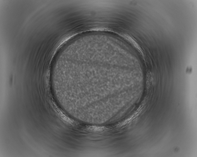 X0000096980831200802291144