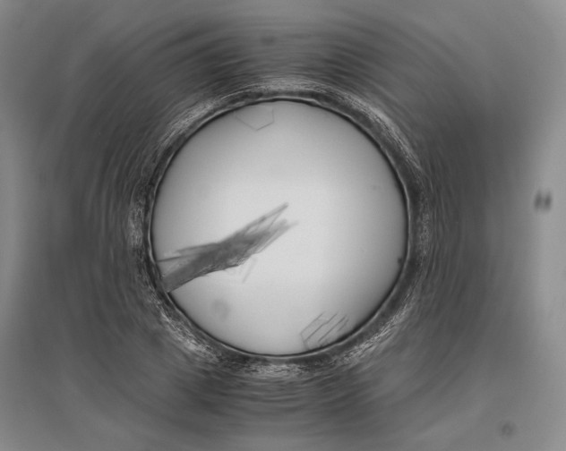 X0000096980833200802291144