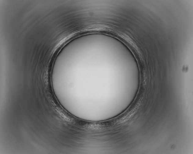 X0000096980834200802291144