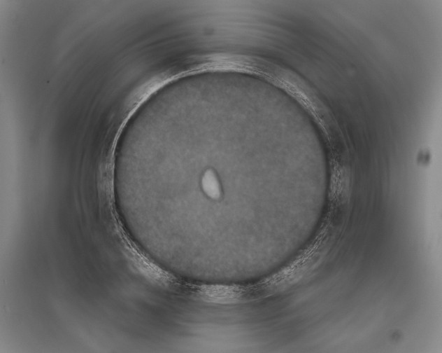 X0000096980836200802291144