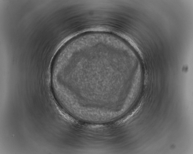 X0000096980837200802291144