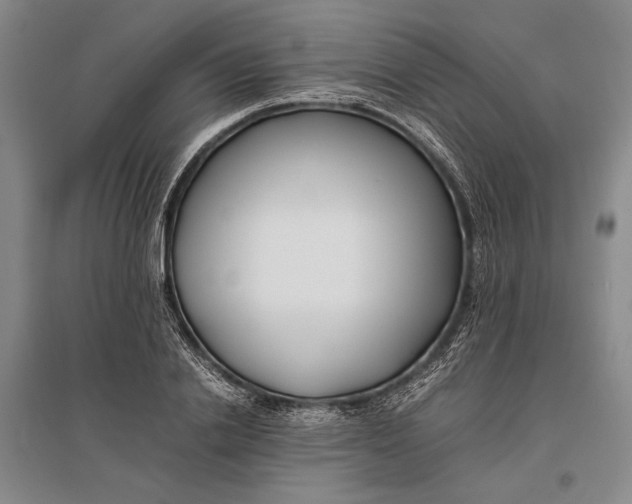 X0000096980838200802291144