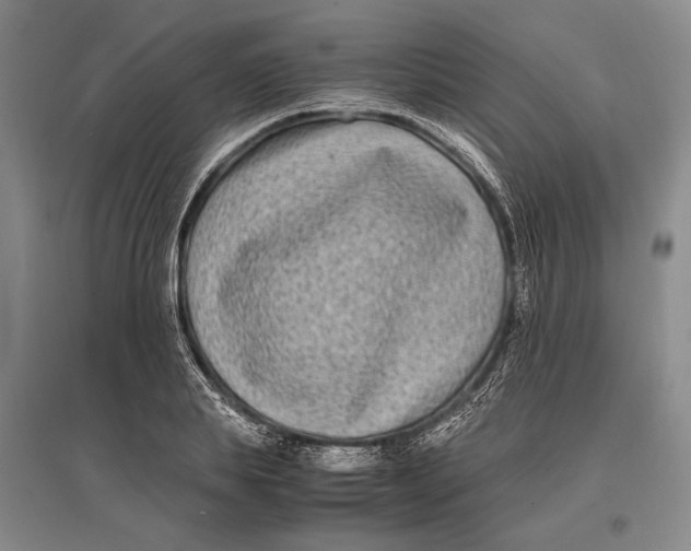 X0000096980839200802291144