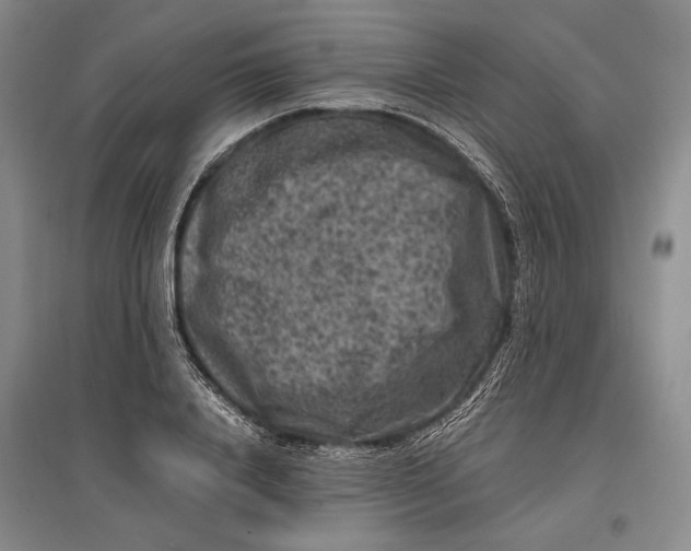 X0000096980840200802291144