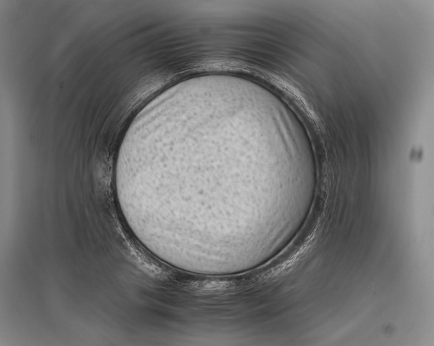 X0000096980841200802291144