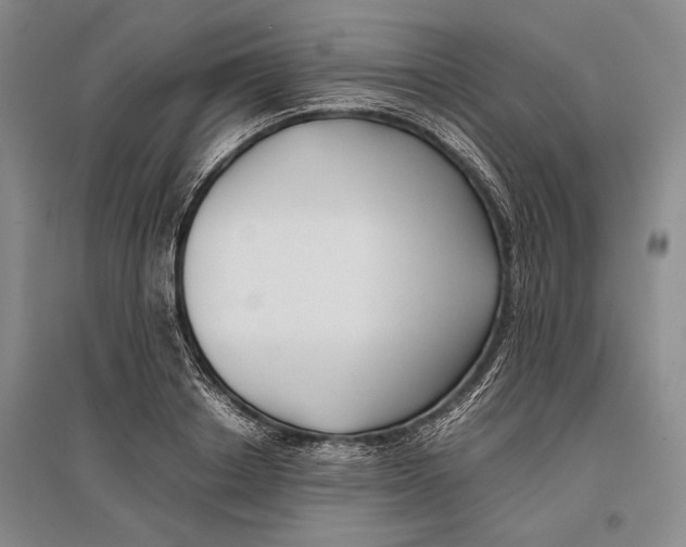 X0000096980842200802291144