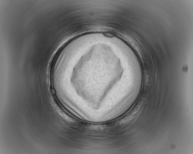 X0000096980843200802291144