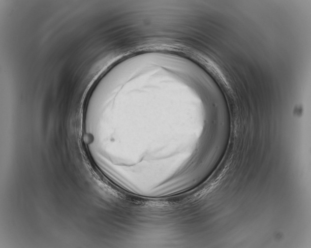 X0000096980844200802291144