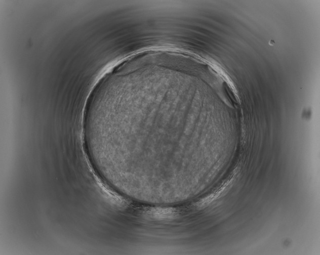 X0000096980845200802291144