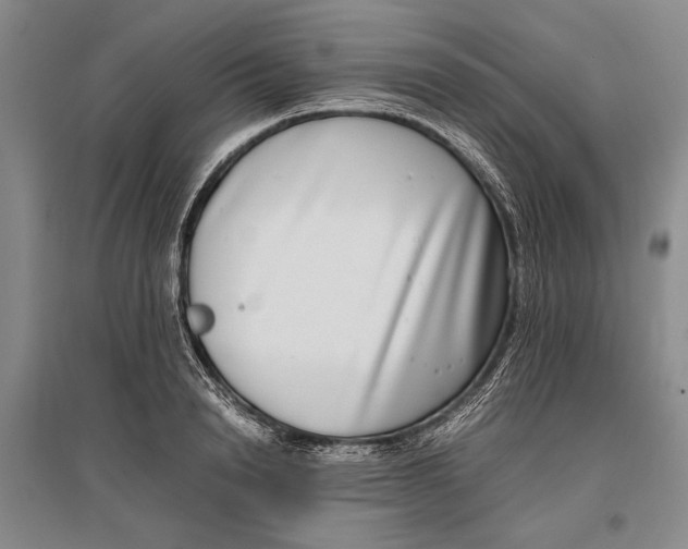 X0000096980846200802291144