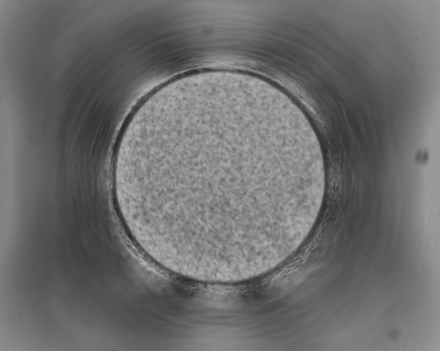 X0000096980848200802291144