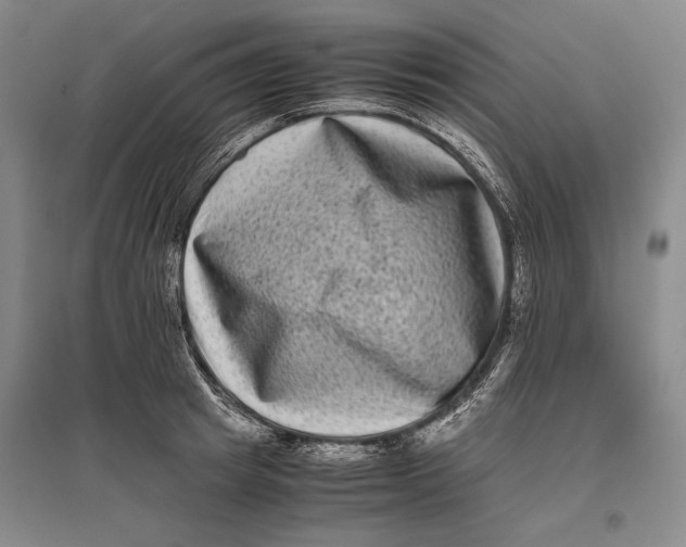 X0000096980849200802291144