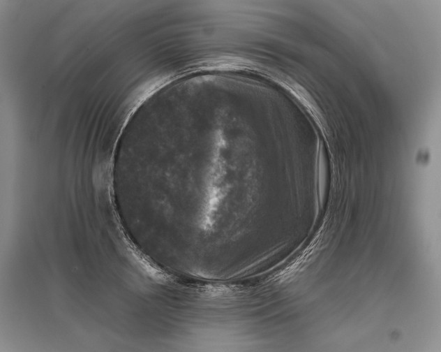 X0000096980850200802291144