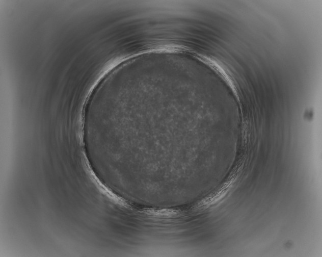 X0000096980851200802291144