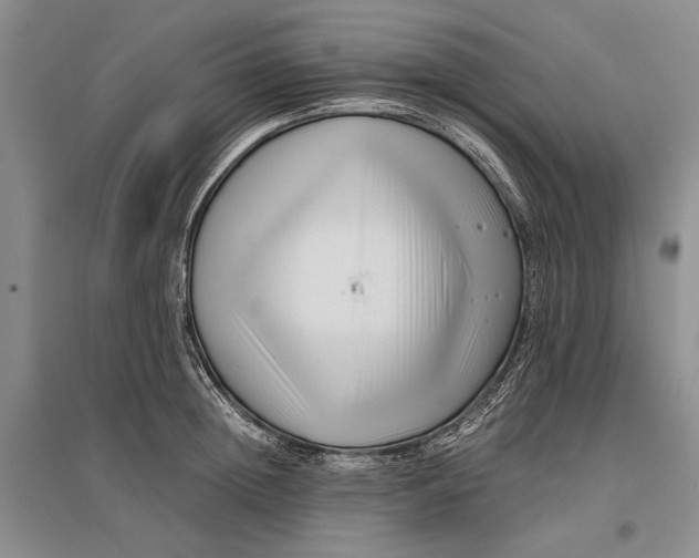 X0000096980852200802291144