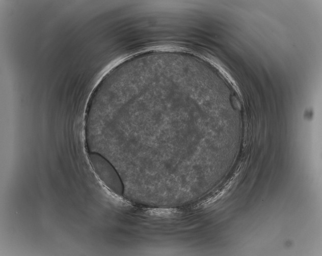 X0000096980853200802291144