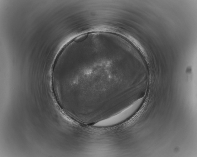 X0000096980854200802291144