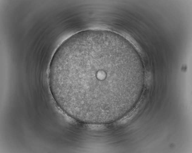 X0000096980856200802291144