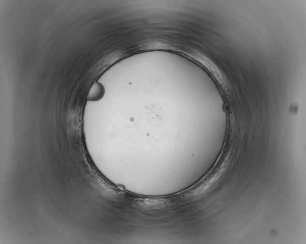 X0000096980857200802291144