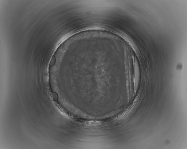 X0000096980858200802291144