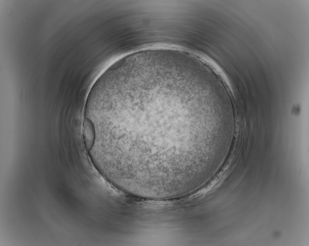 X0000096980860200802291144