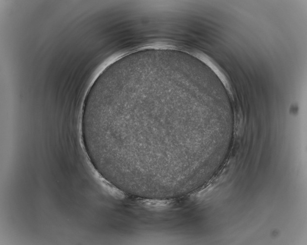 X0000096980861200802291144