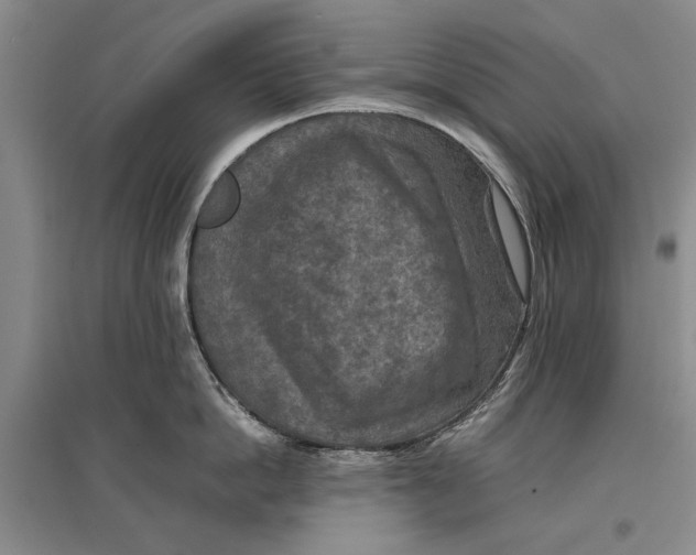 X0000096980862200802291144