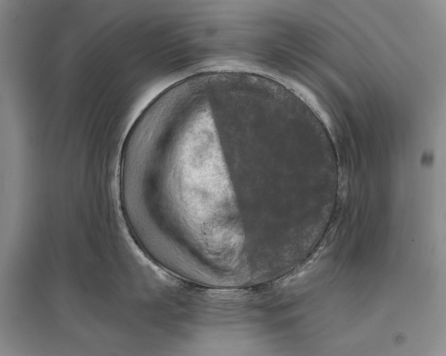 X0000096980863200802291144