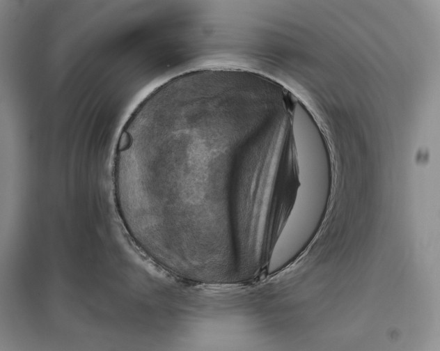 X0000096980864200802291144