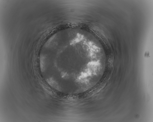 X0000096980865200802291143