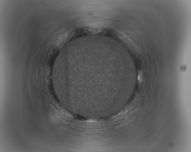 X0000096980867200802291143