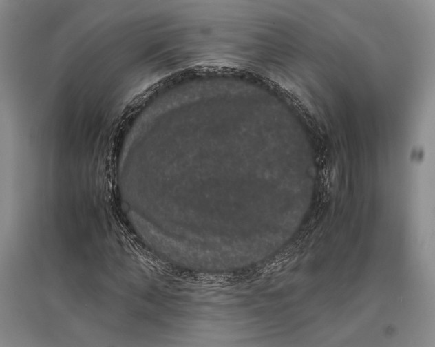 X0000096980870200802291143