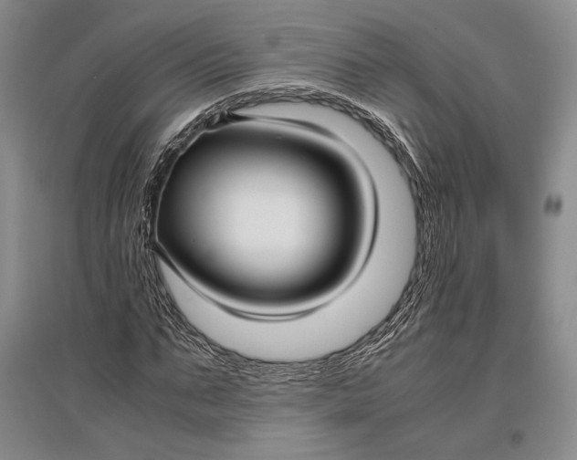 X0000096980871200802291143