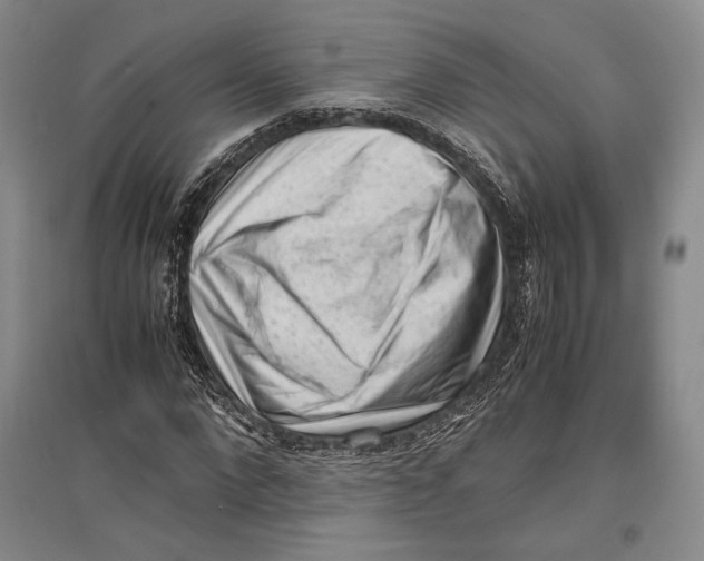 X0000096980872200802291143