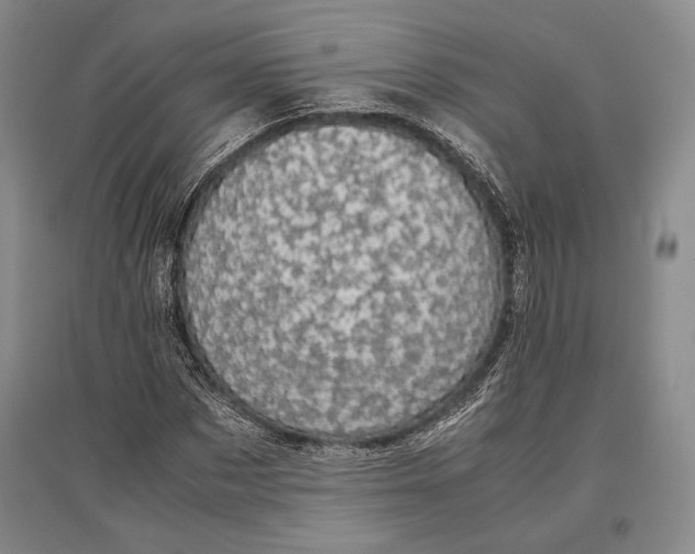 X0000096980873200802291143